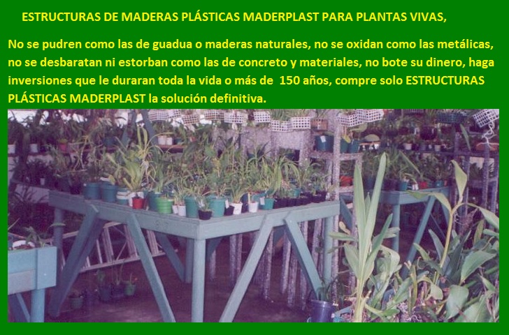 banco de enraizamiento enraizar plantas mostrador mesón lecho soporte propagar cultivar vivero plantar sembrar semillas esquejes brotes de plantas tallos socos de semillas en macetas materas 08 banco de enraizamiento enraizar plantas mostrador mesón lecho soporte propagar cultivar vivero plantar sembrar semillas esquejes brotes de plantas tallos socos de semillas en macetas materas 08 01 banco de enraizamiento enraizar plantas mostrador mesón lecho soporte propagar cultivar vivero plantar sembrar semillas esquejes brotes de plantas tallos socos de semillas en macetas materas 08